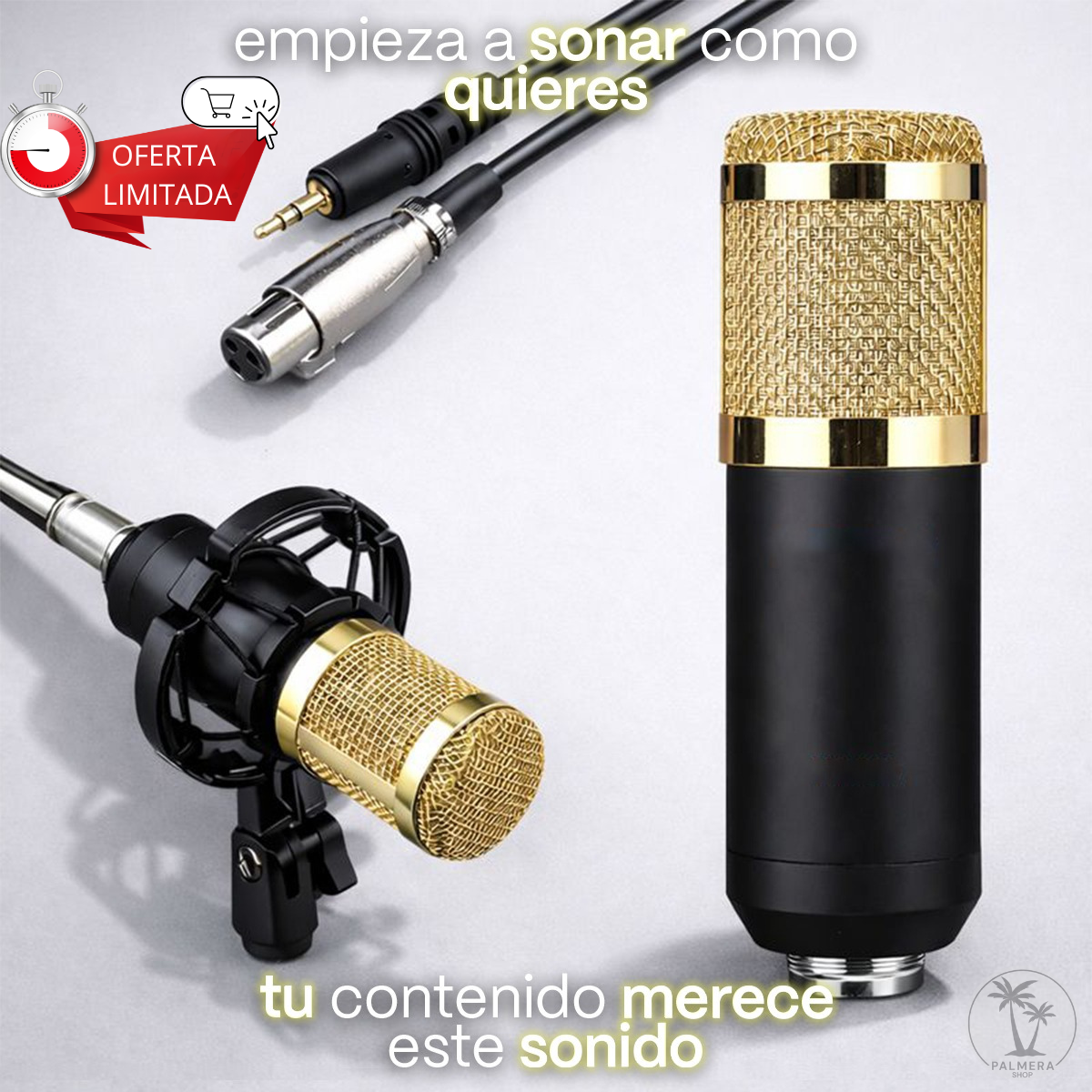 Microfono Condensador Semiprofesional
