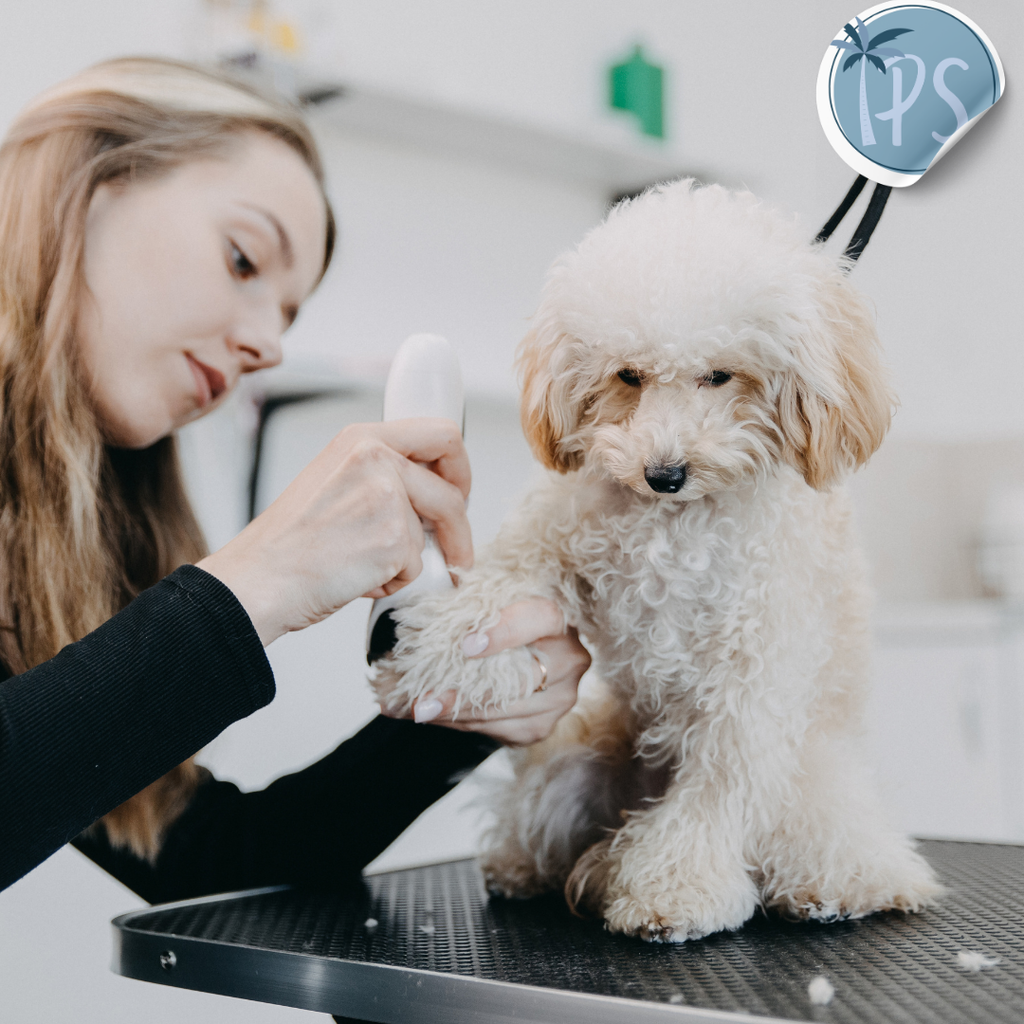 Maquina Para Perros De Peluqueria Canina Peluquear Pelo Gato Dorado