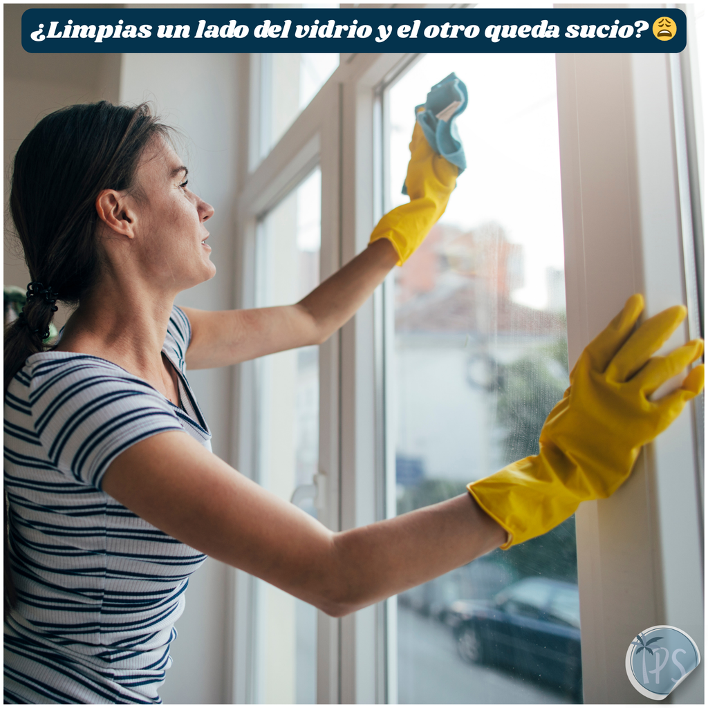 Limpiador Magnetico De Ventanas