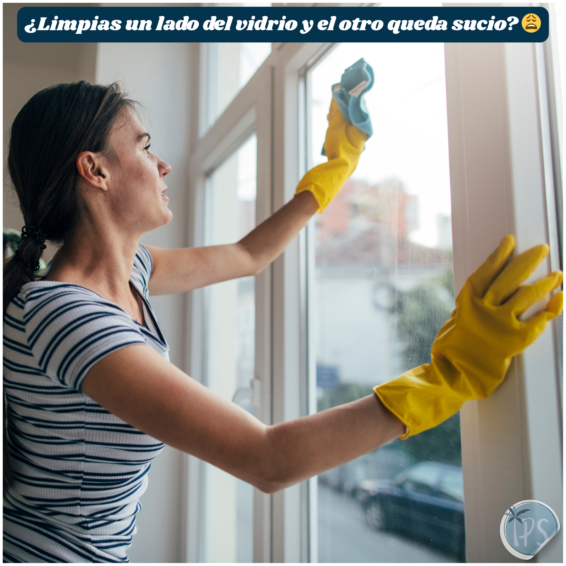 Limpiador Magnetico De Ventanas