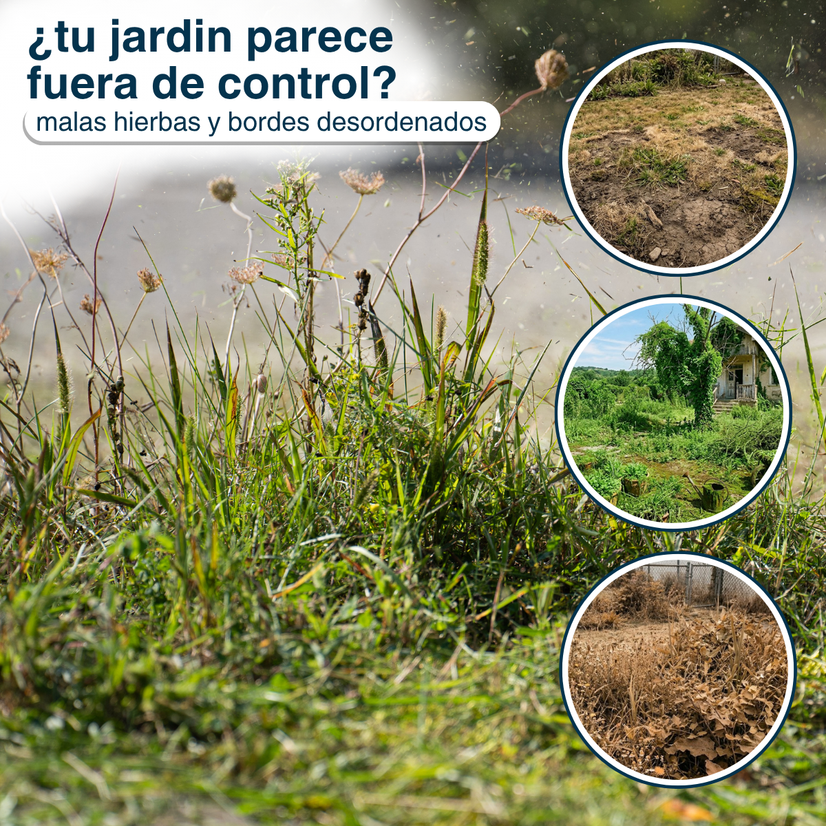 Corta Cesped Pasto Podadora De Arbol Guadaña Multifuncional