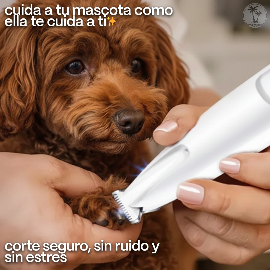 Maquina Para Peluqueria Canina Peluquear Pelo De Gato Perros