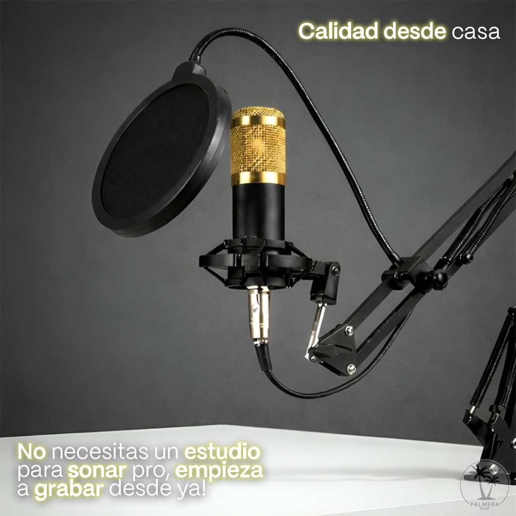 Microfono Condensador Semiprofesional