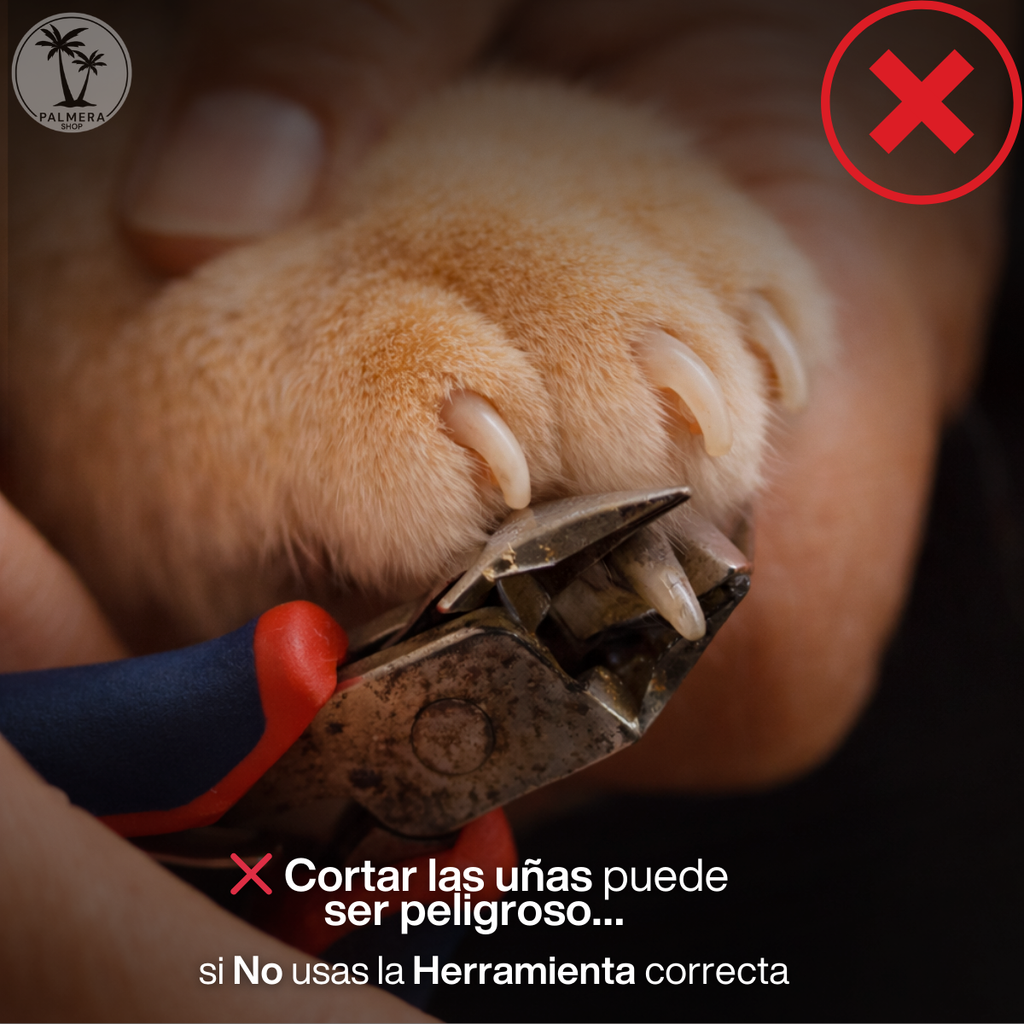Kit Lima Electrica Para Perros Gatos Corta Unas Para Perros Blanco Todos Los Tamaños