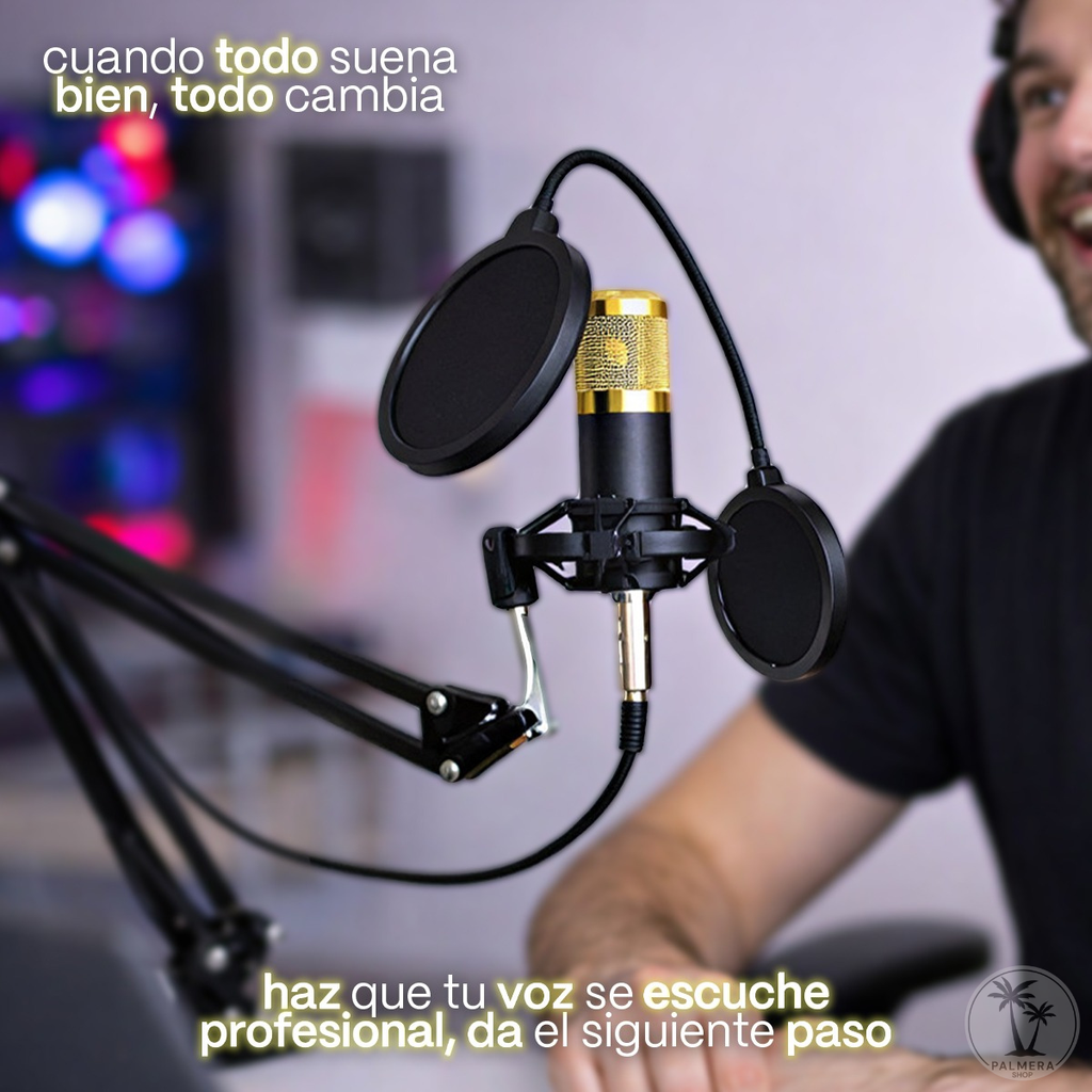 Microfono Condensador Semiprofesional