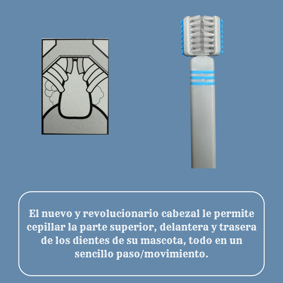 Cepillo De Dientes Para Mascota Limpiador Perro Gato Azul/gris