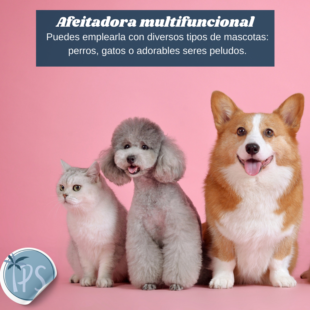 Maquina Para Perros De Peluqueria Canina Peluquear Pelo Gato Dorado