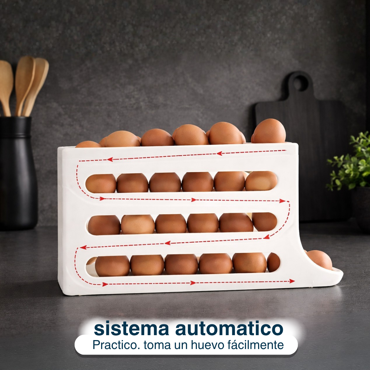 Huevera Organizador Cubeta Dispensador Porta Huevo Plastico