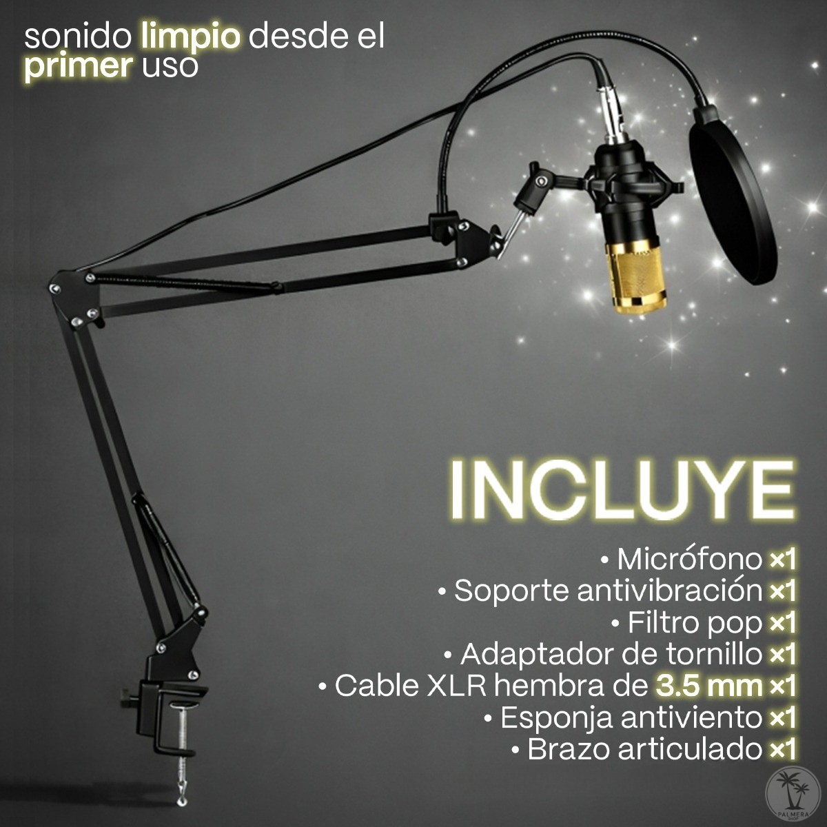 Microfono Condensador Semiprofesional