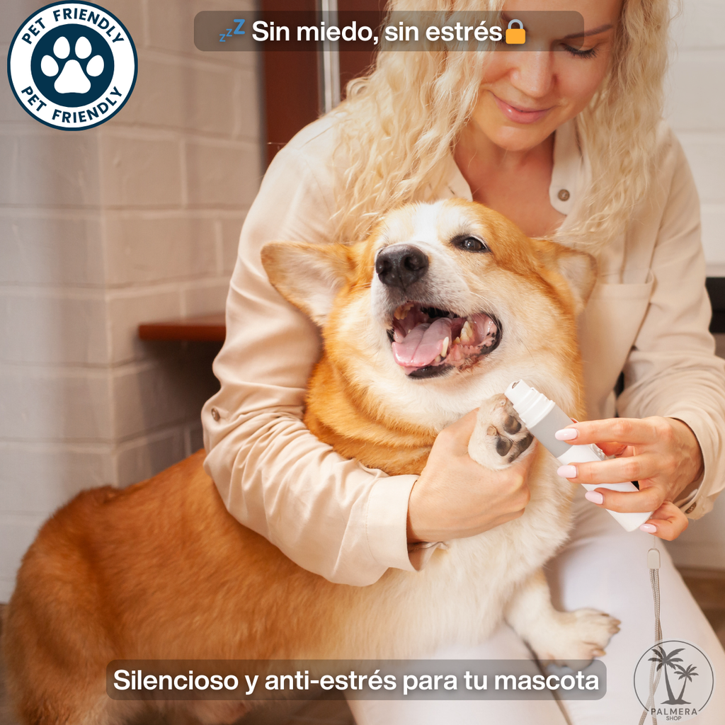 Kit Lima Electrica Para Perros Gatos Corta Unas Para Perros Blanco Todos Los Tamaños