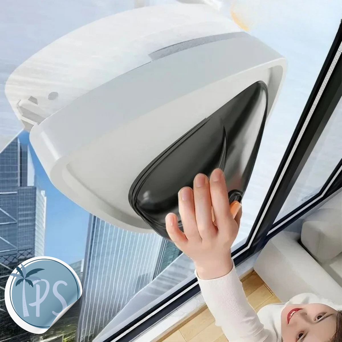 Limpiador Magnetico De Ventanas