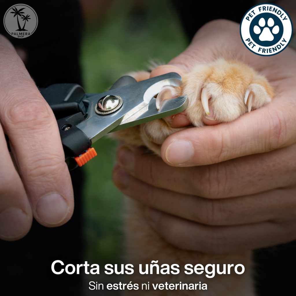 Kit Lima Electrica Para Perros Gatos Corta Unas Para Perros Blanco Todos Los Tamaños