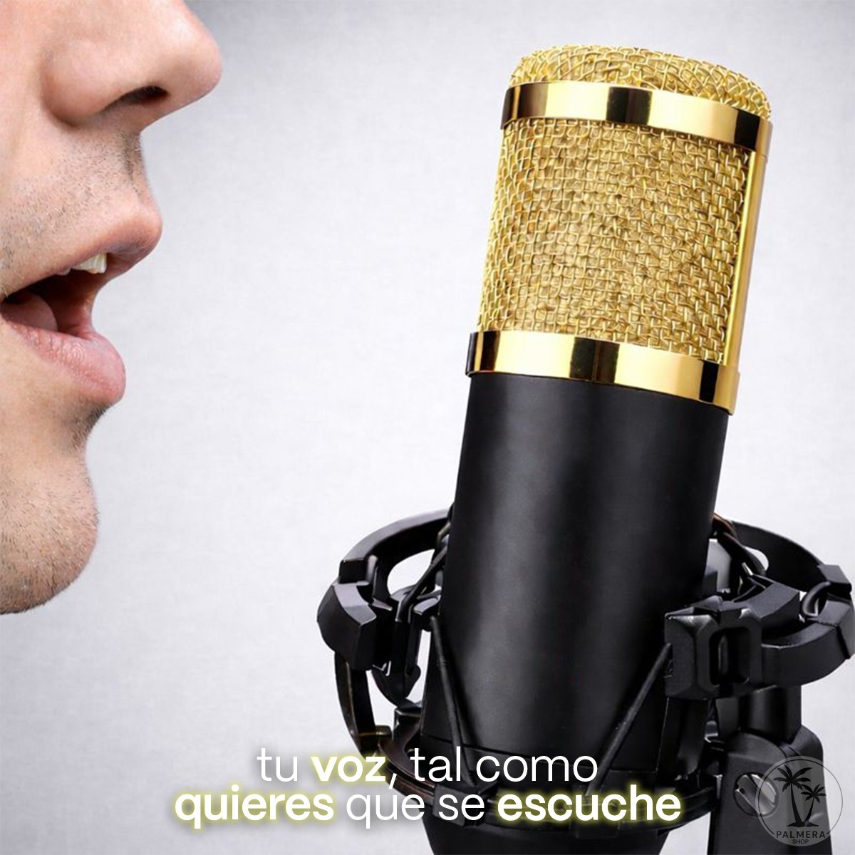 Microfono Condensador Semiprofesional