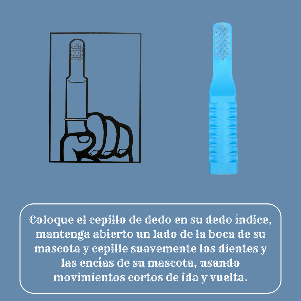 Cepillo De Dientes Para Mascota Limpiador Perro Gato Azul/gris