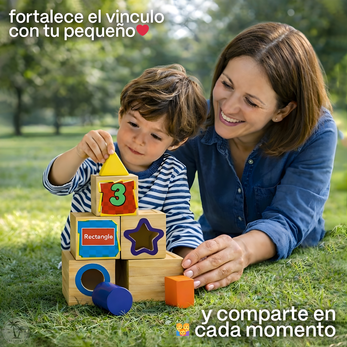 Juegos Didacticos Montessori Juguetes Para Encajar Cubo Aros