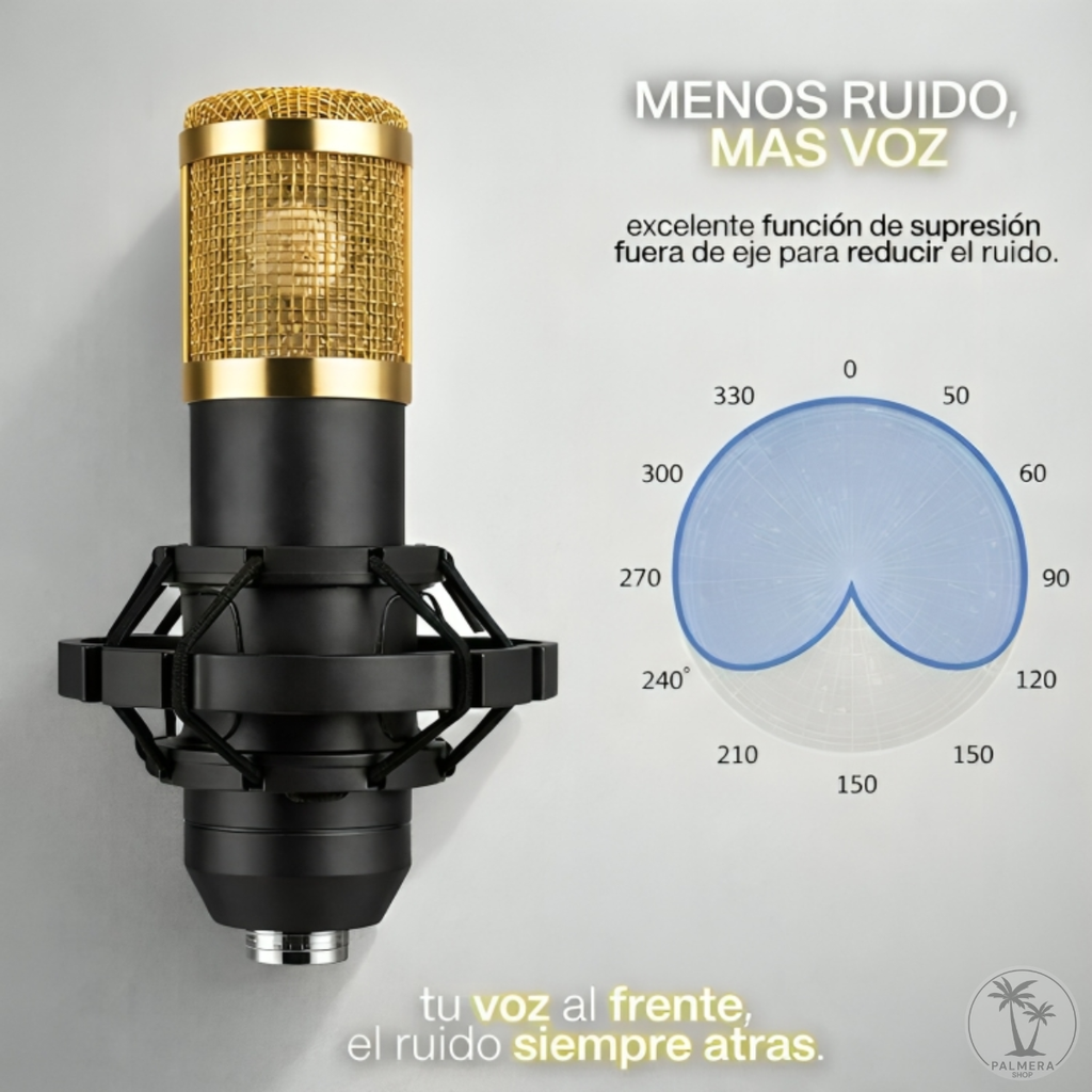 Microfono Condensador Semiprofesional