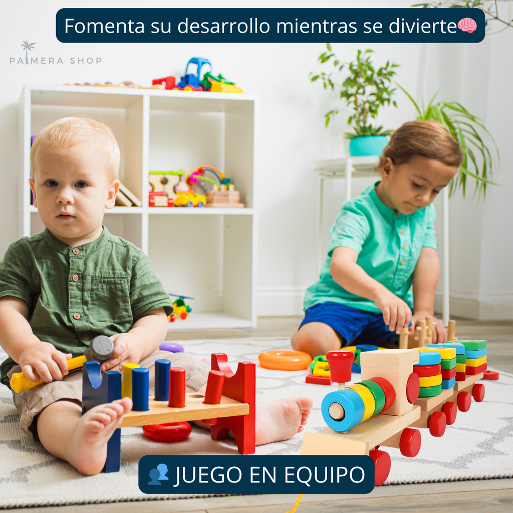 Juegos Didacticos Montessori Tren Torre De Aros Para Encajar Multicolor